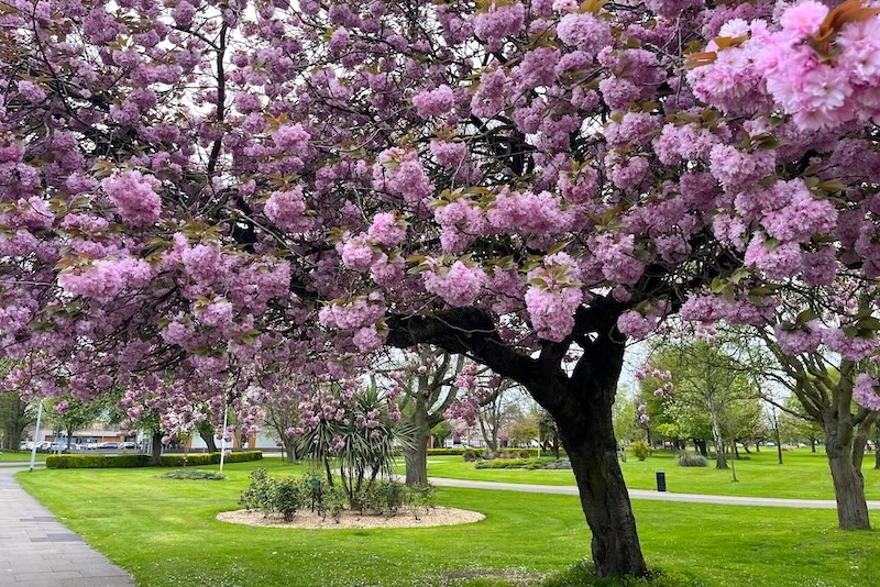 Return to Sender: April&nbsp;2026